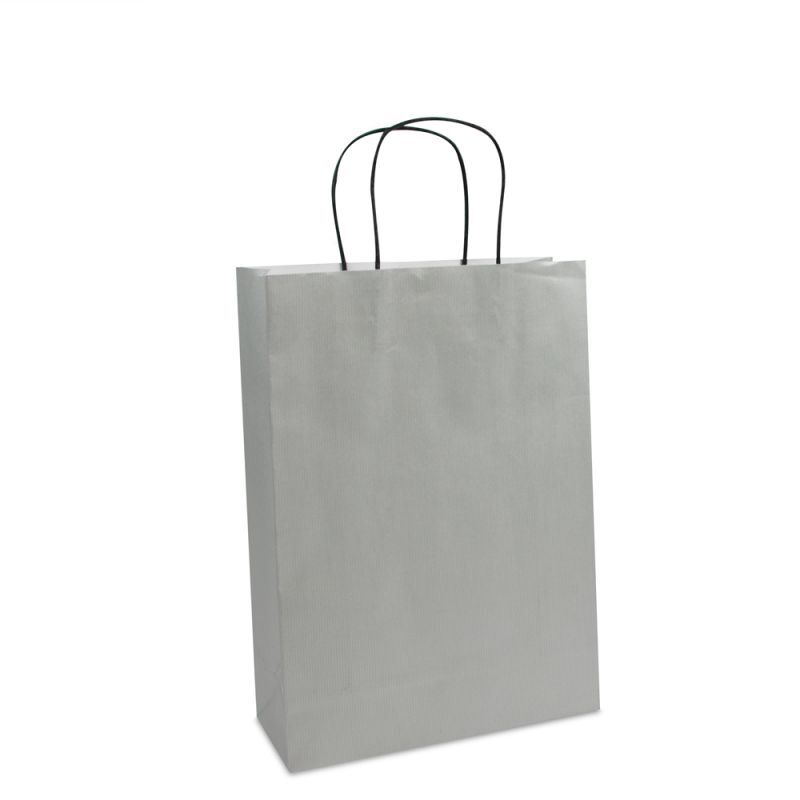 Paper Carrier Bags Silver 25+10x35cm Twisted Handles + Cardboard Base
