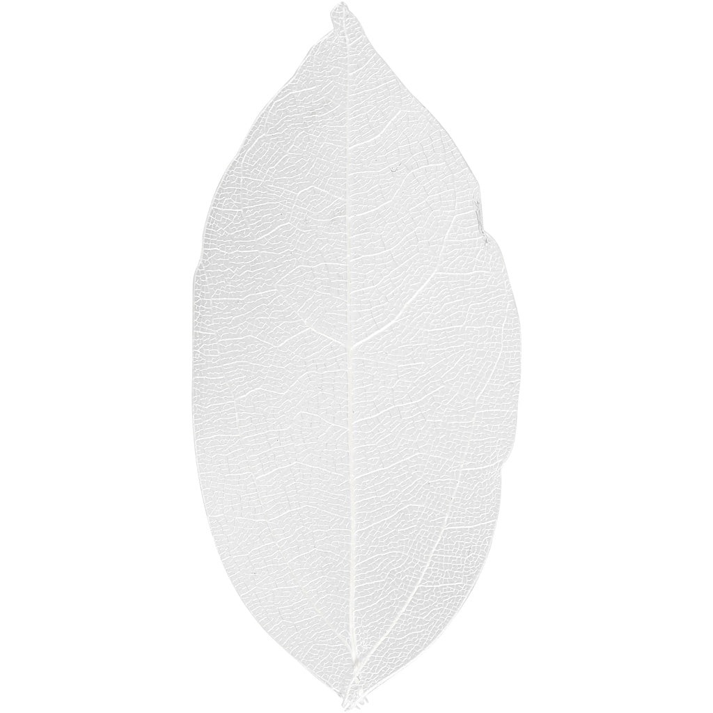 Skeleton Leaves, L: 6-8 cm, white, 20 pc