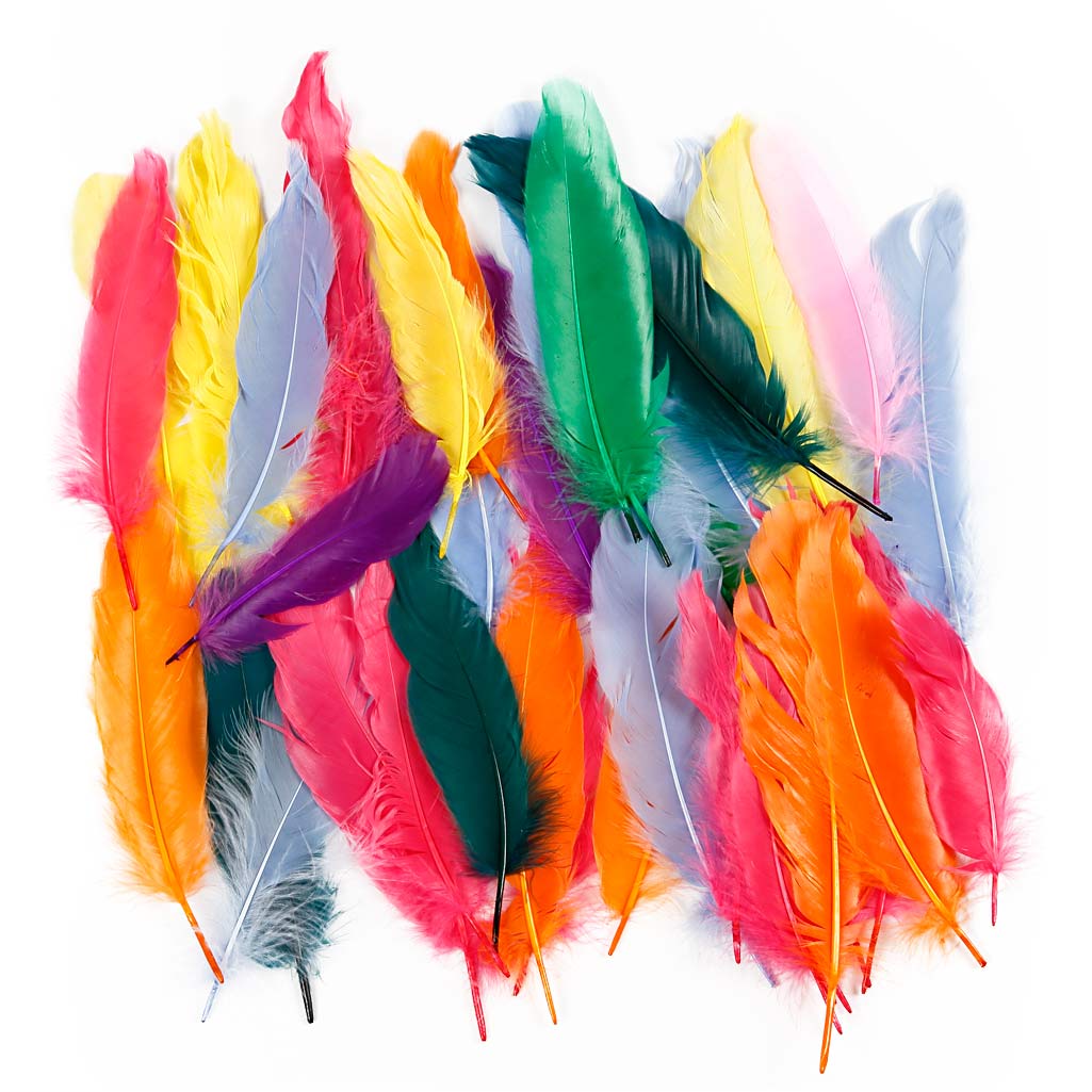 Feathers, L: 12-15 cm, assorted colours, 350 pc