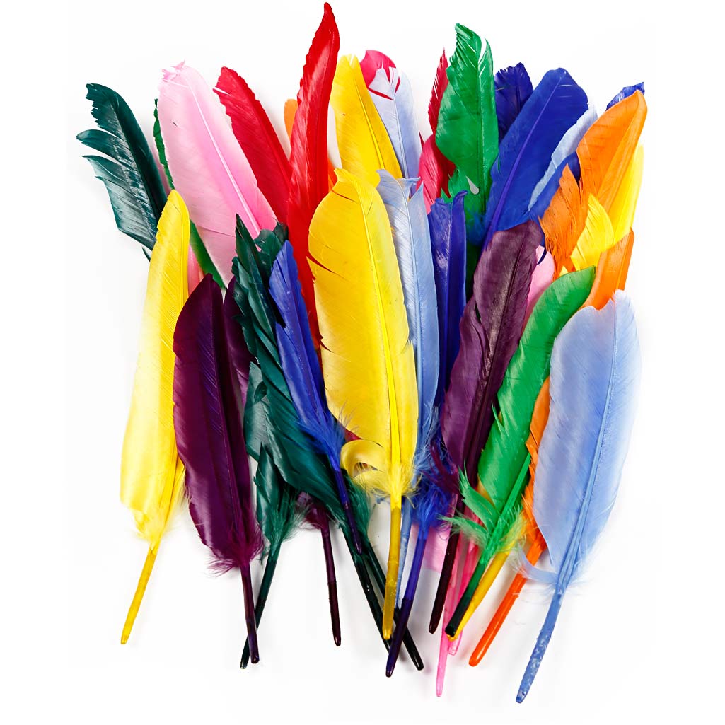 Feathers, L: 17-20 cm, 250 pc