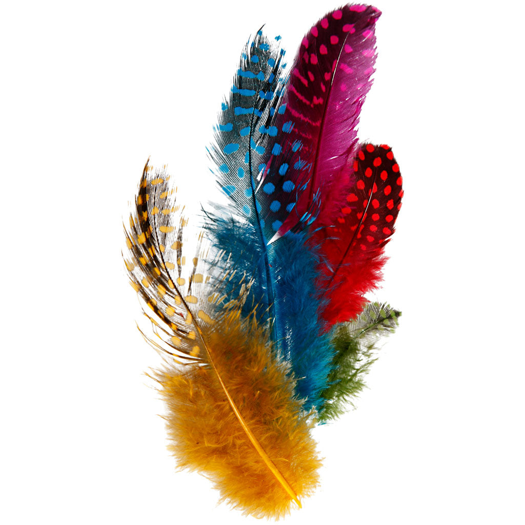 Guinea fowl feathers, assorted colours, 3g