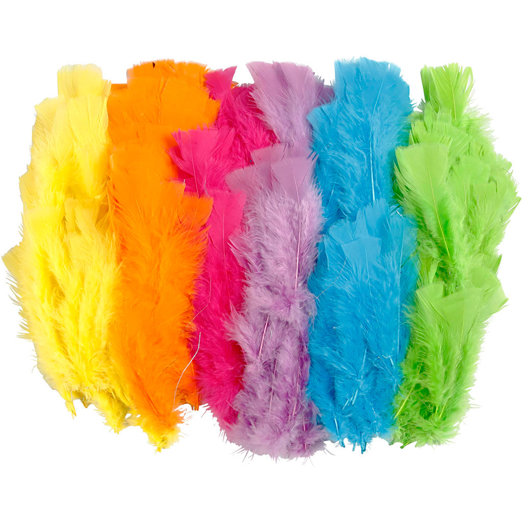 Feathers, L: 11-17 cm, assorted colours, 144 bundle