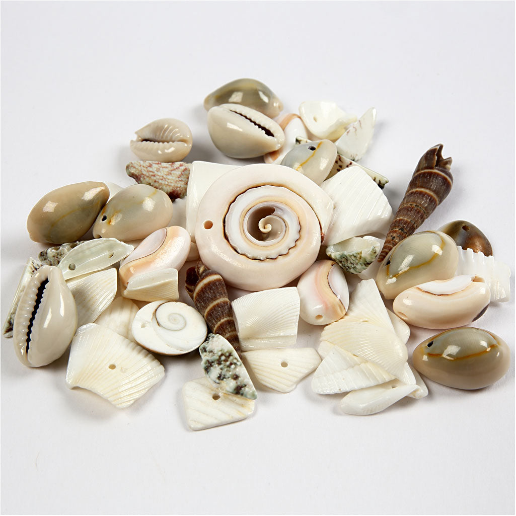 Beach Shells, size 9-40 mm, hole size 1-1,5 mm, 120 g