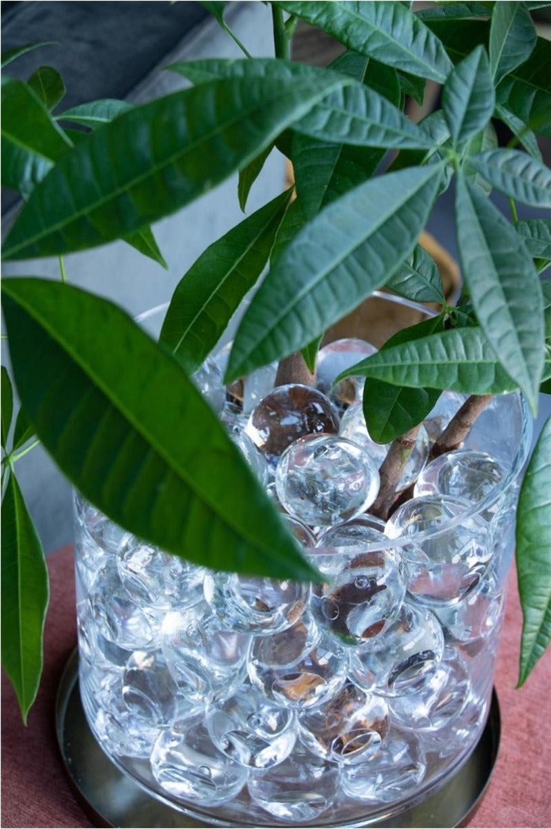 Große Wasserbälle 20 Stück dia 40-50 mm (1 Schachtel) [IFS-10325]