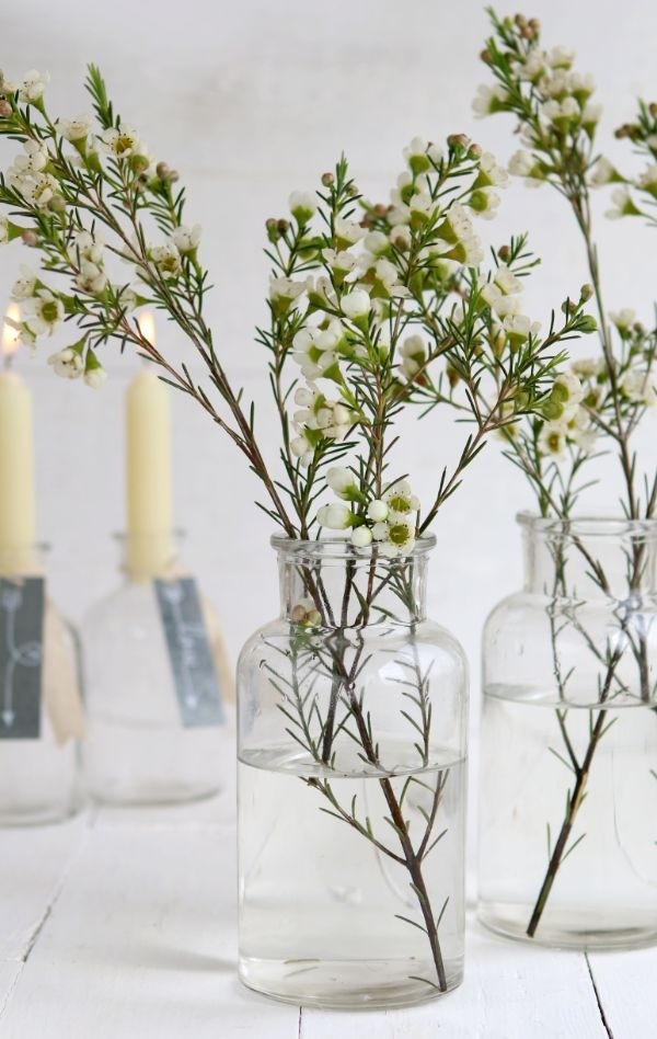 Medizinflasche Glas 16x8cm (12 Stück) [IFS-129195]