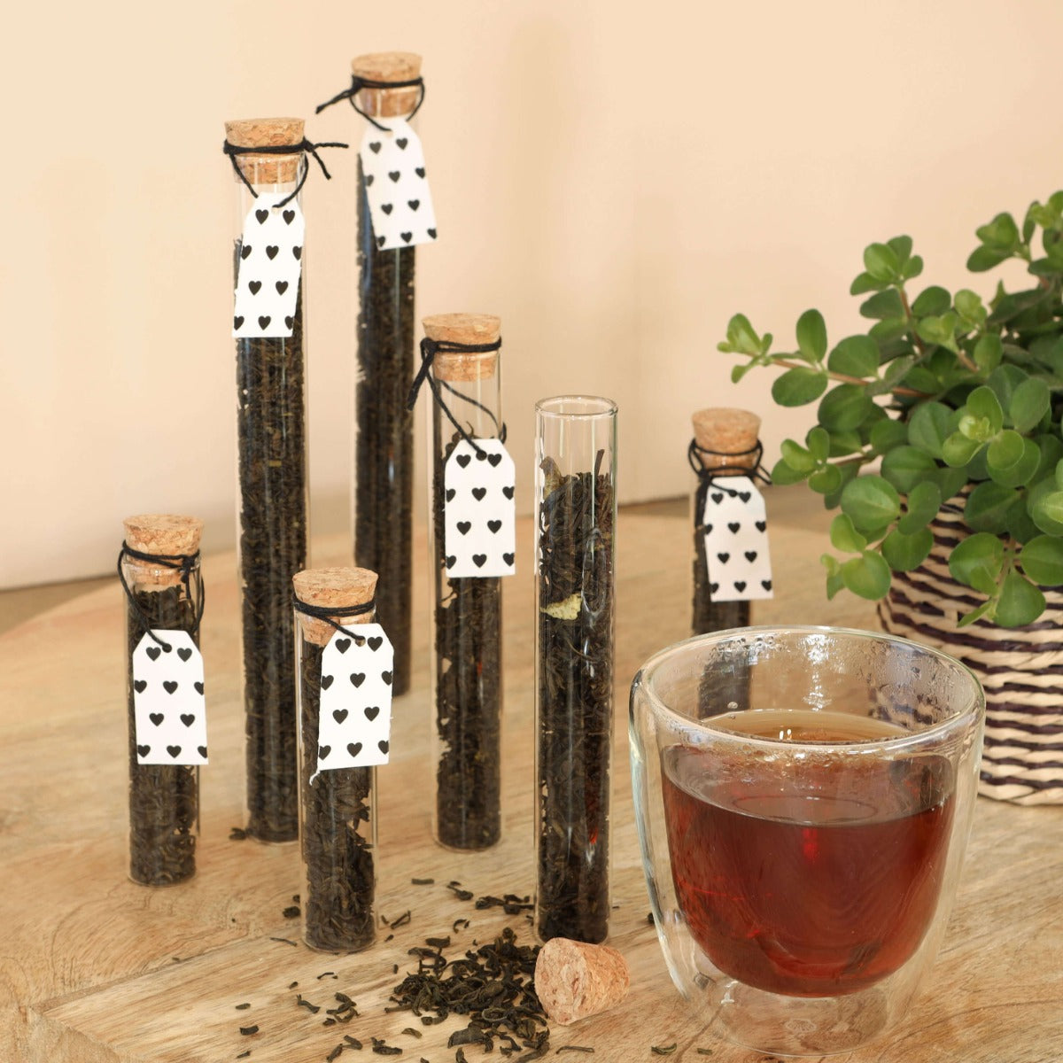 Glasröhre Ø2cm | H: 19cm (12 Stück) [IFS-29108]