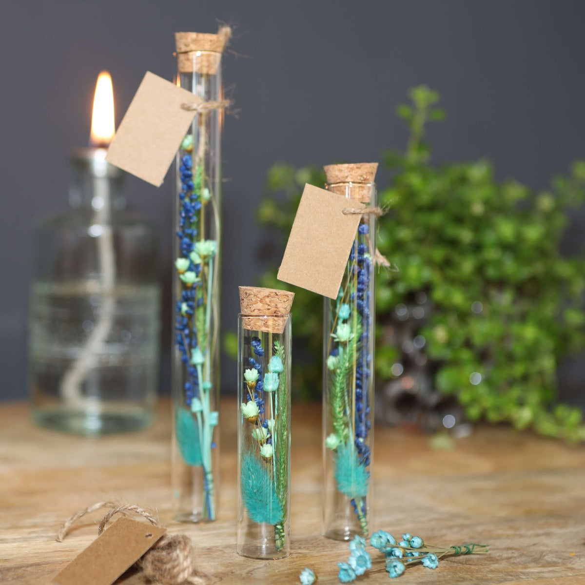 Glasröhre Ø2cm | H: 19cm (12 Stück) [IFS-29108]