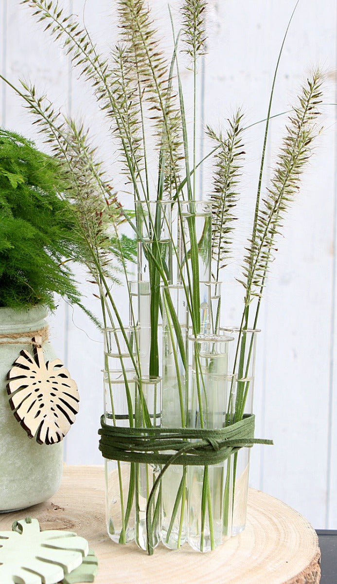 Reagenzgläser 2x12.5cm mit Ring (12 Stück) [IFS-29204]