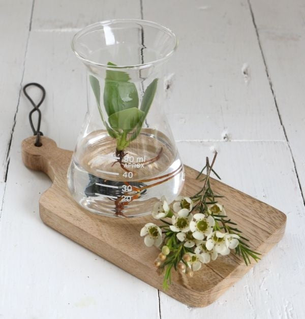 Labor-Glastrichter 8x11cm (1 Stück) [IFS-29256]