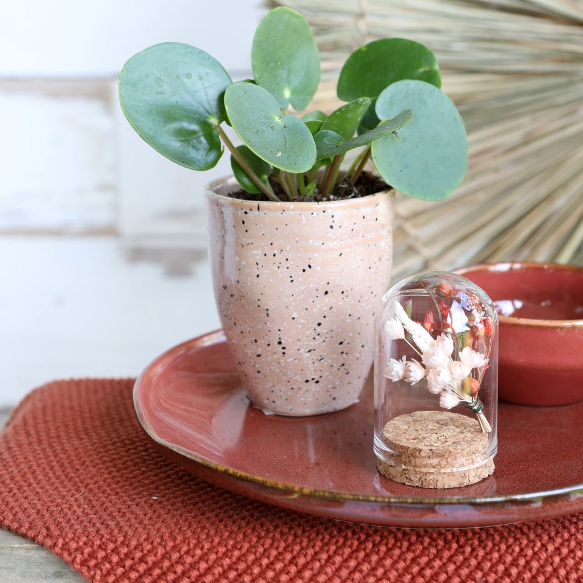 Mini-Stolpersteine aus Glas Ø4cm | H: 6cm | Mit Kork (6 Stück) [IFS-29410]