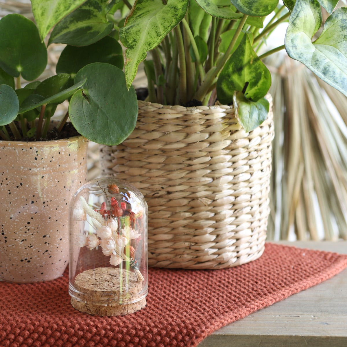 Mini-Stolpersteine aus Glas Ø4cm | H: 6cm | Mit Kork (6 Stück) [IFS-29410]