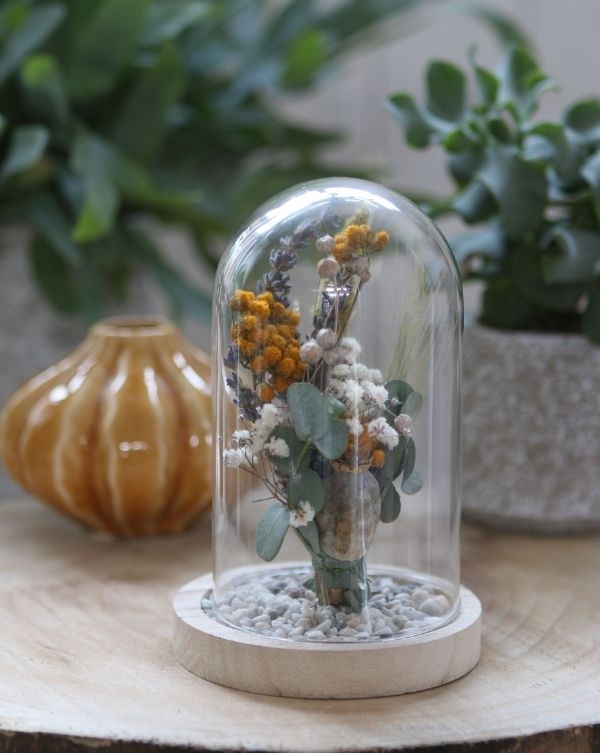 Glaskuppel mit Holzsockel 12x16cm (1 Stück) [IFS-29423]