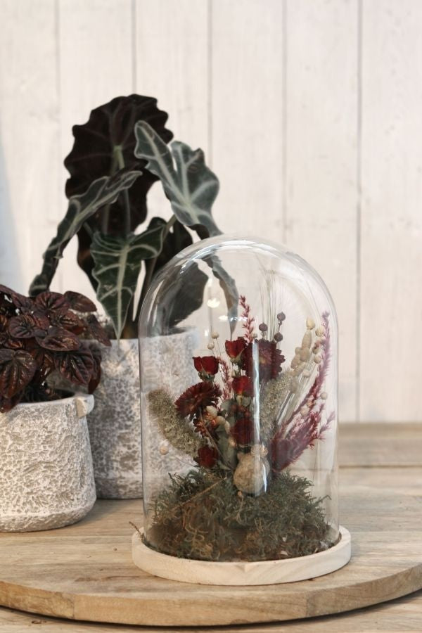 Glaskuppel mit Holzsockel 17x25cm (1 Stück) [IFS-29425]