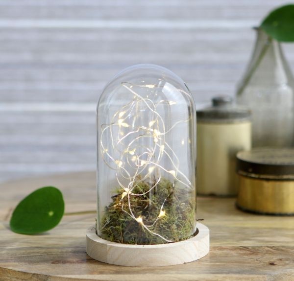 Glaskuppel mit Holzsockel 10x15cm (1 Stück) [IFS-29428]