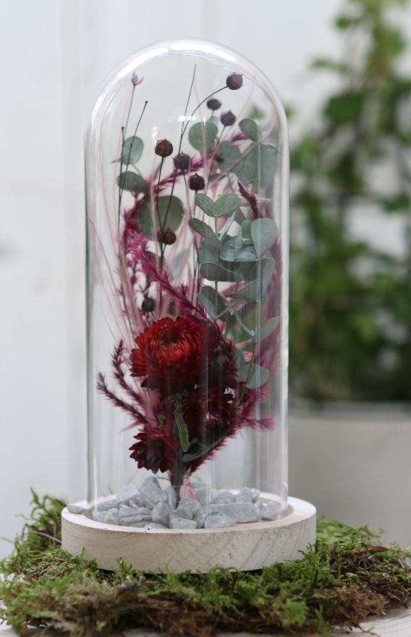 Glaskuppel mit Holzsockel 10x20cm (1 Stück) [IFS-29429]