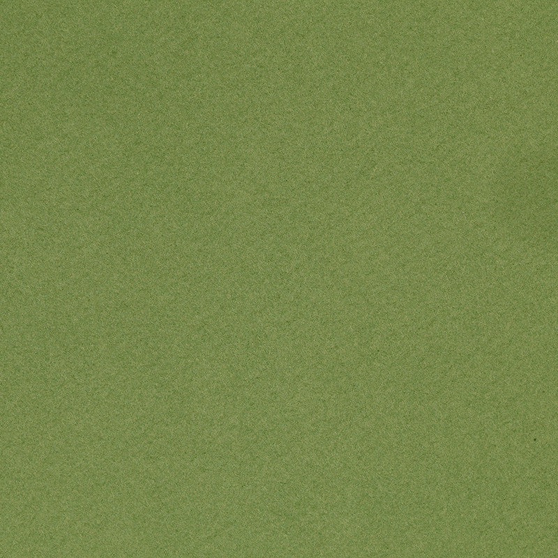 Französischer Karton, A4, Blatt 210x297 mm, 160 g, Apple Green, 1 Bl. [HOB-294475]