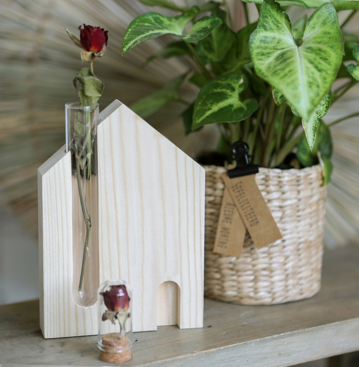 Hausstandard mit Reagenzglas 10x3x14cm (6 Stück) [IFS-29649]