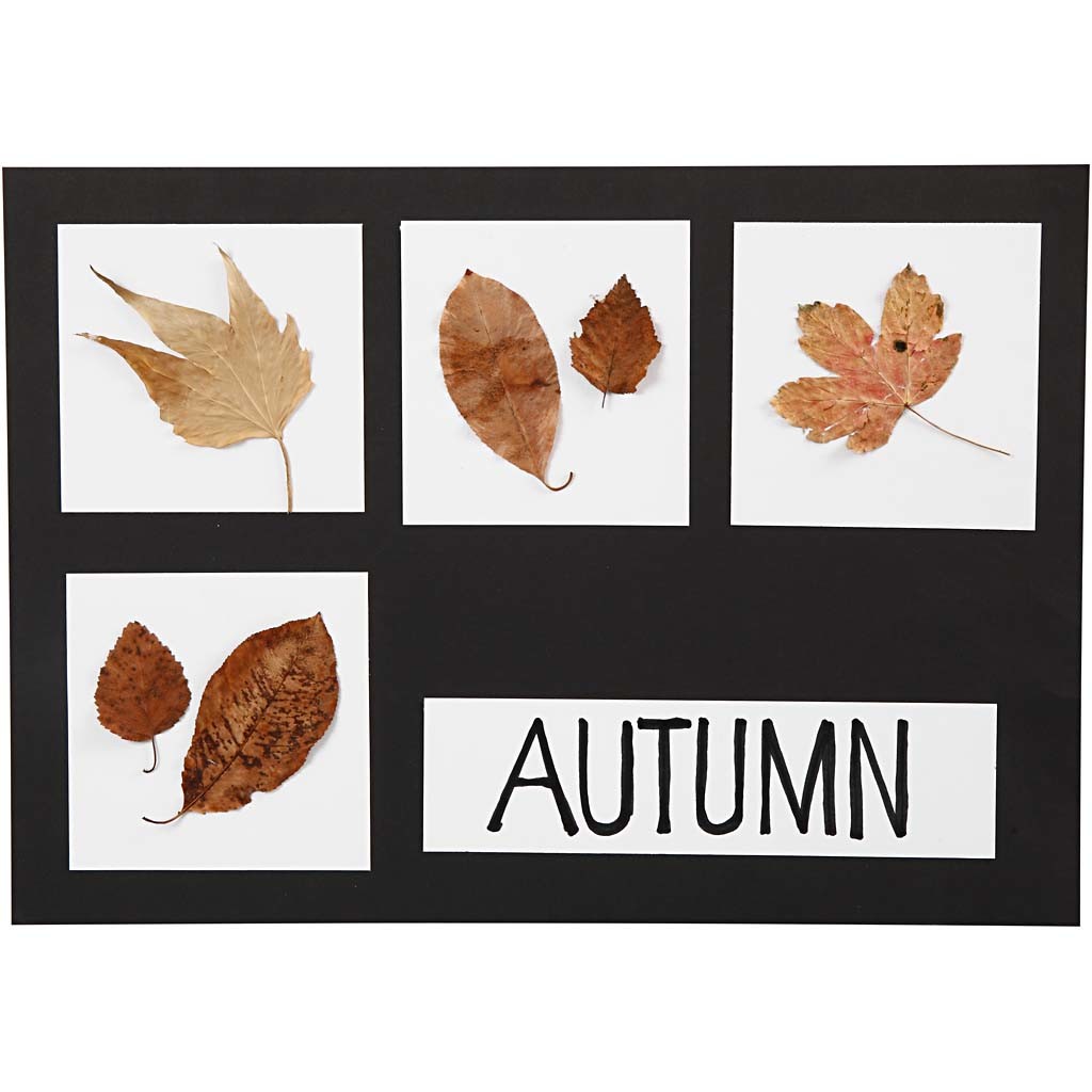 Karton, A2,A3,A4, 200+250 g, Schwarz, Weiß, 600 Bl. sort./ 1 Pck [HOB-21656]