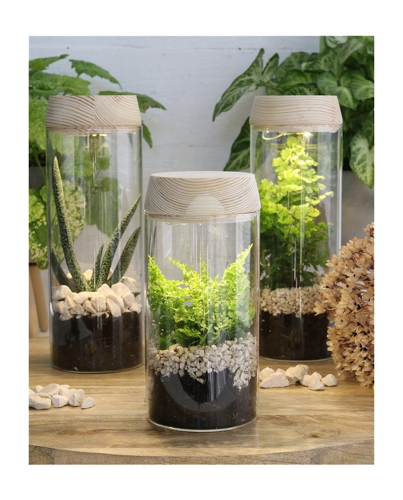 Reagenzglas Ø8 h: 18 cm m. Solar-Kork-Deckel (1 st) [IFS-30173]