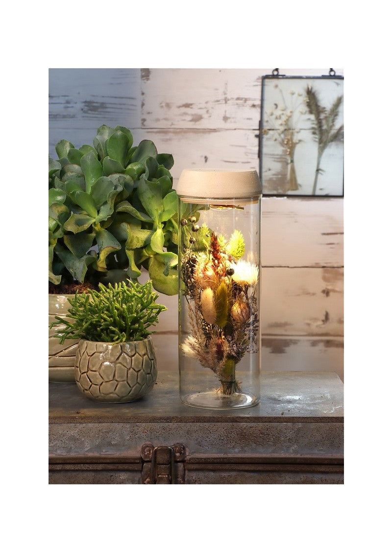 Reagenzglas Ø8 h: 23 cm m. Solar-Kork-Deckel (1 st) [IFS-30174]