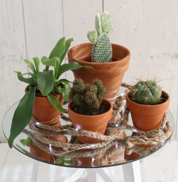 Runde Spiegelplatte Ø30cm mit Schrägkanten (1 Stück) [IFS-30201]