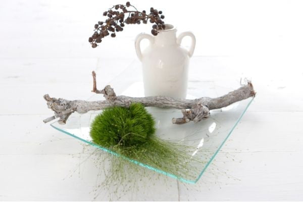 Glasschale viereckig 20x20x2cm  (1 Stück) [IFS-30263]