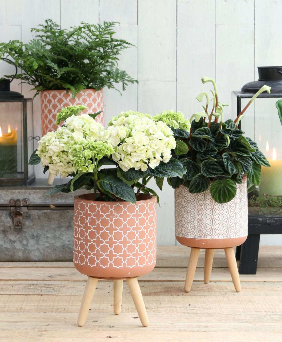 Blumentöpfe Terra-Zement mit Holzbeinen | H: 21.5cm (6 Stück) [IFS-33005]