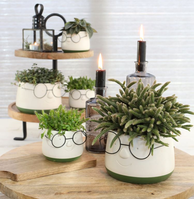 Topf mit Brille Ø16 h: 11,5 cm (3 Stück) [IFS-33095]