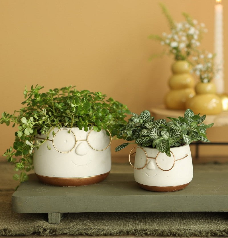 Topf mit Brille Gold Ø12 h: 9 cm (6 Stück) [IFS-33097]