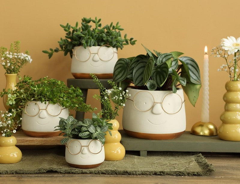 Topf mit Brille Gold Ø16 h: 11,5 cm (3 Stück) [IFS-33099]