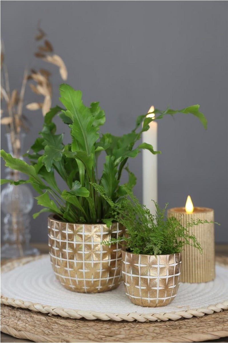 Hanoi Topf Ø7,5 x h:6,4 cm Gold (6 Stück) [IFS-33851]