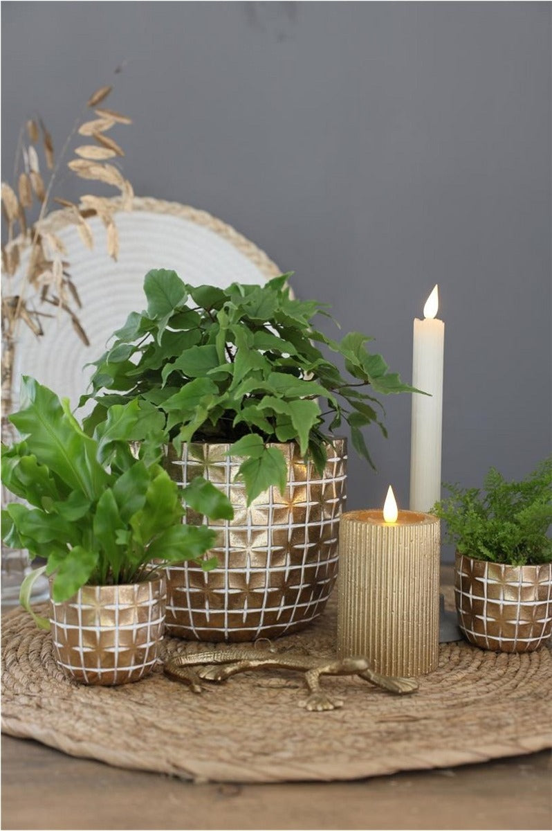 Hanoi Topf Ø10 x h:8,4 cm Gold (6 Stück) [IFS-33852]