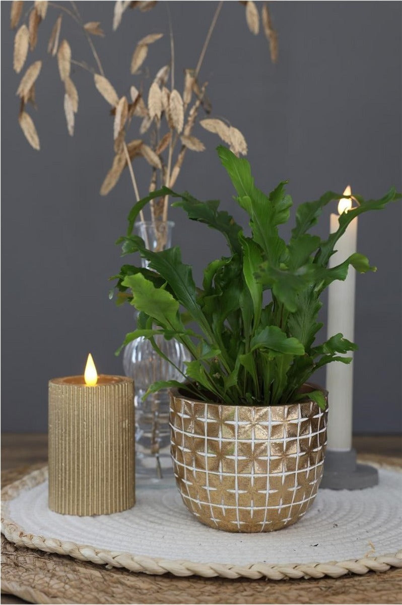 Hanoi Topf Ø10 x h:8,4 cm Gold (6 Stück) [IFS-33852]