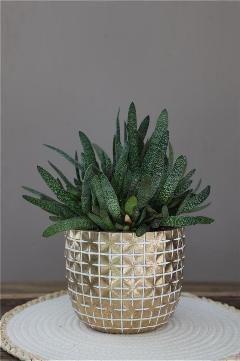 Hanoi Topf Ø17,6 x h:14,4 cm Gold (3 Stück) [IFS-33855]