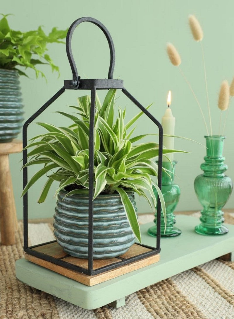 Topf Dunkelgrün Rise Ø6,5 x h: 8 cm (12 Stück) [IFS-33952]