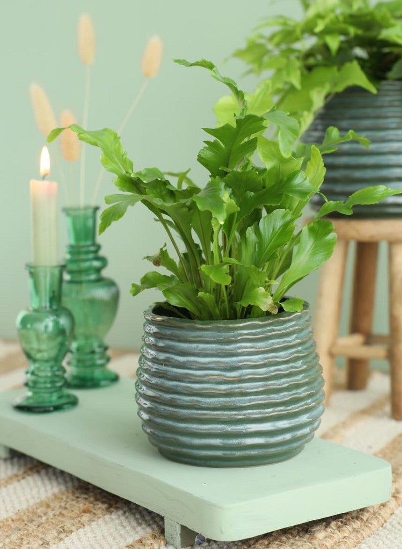 Topf Dunkelgrün Rise Ø10 x h: 13,5 cm (6 Stück) [IFS-33954]