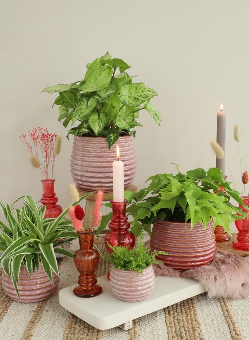 Topf Rosa Karmin Rise Ø8,5 x h: 11,5 cm (9 Stück) [IFS-33983]