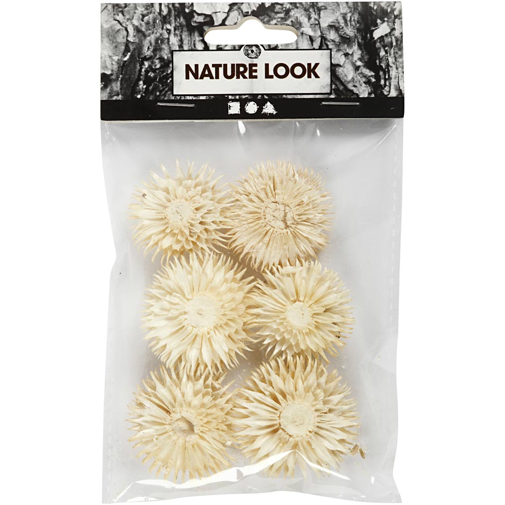 Getrocknete Blütenköpfe, D 3-5 cm, 6 Stk/ 1 Pck [HOB-50204]