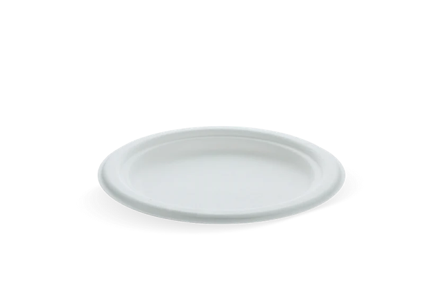 Teller Zuckerrohr Ø17.5cm (1.000 Stück) [TK-9988102]