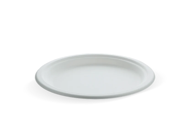 Teller Zuckerrohr Ø22.5cm (500 Stück) [TK-9988103]