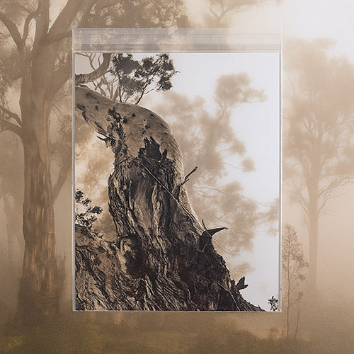 Klappenbeutel 28.6x35.9cm Hochtransparent (100 Stück) [B11S]