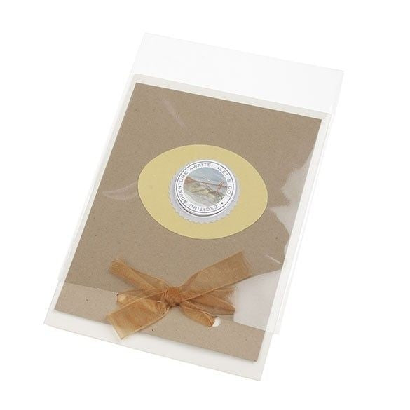 Flachbeutel 12.5x17 cm OPP Transparent (100 Stück) [B65NF]
