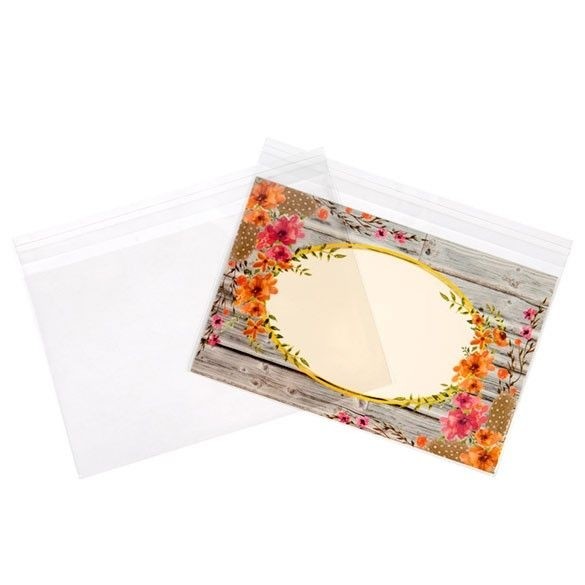 Plastic Bags 22x14cm Transparent Peel and Seal