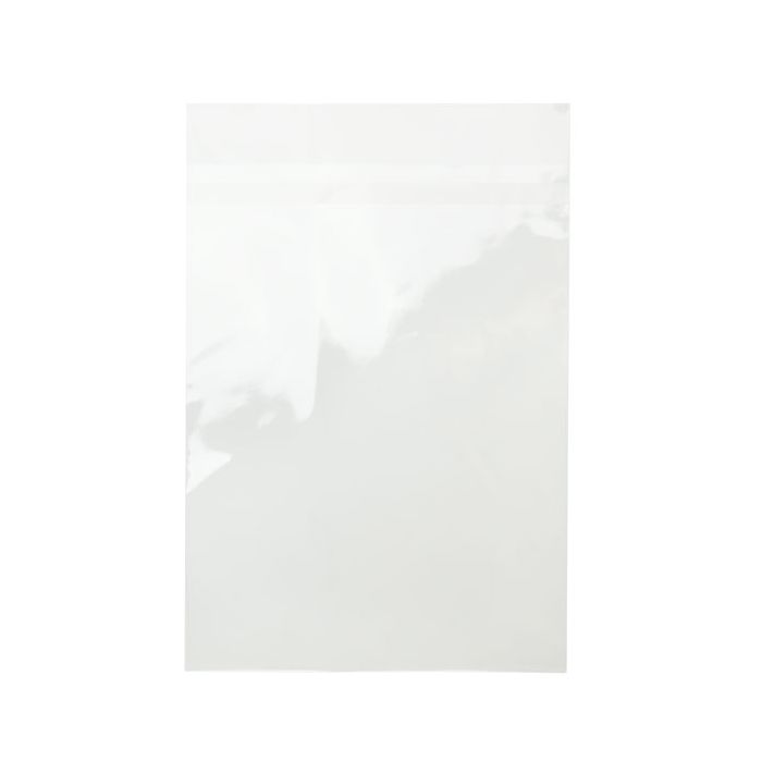 Klappenbeutel 25.2x33.7cm mit Schutzverschluss (100 Stück) [B913XPC]