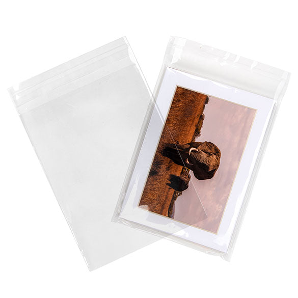 Umweltfreundliche Beutel 14.4x19.1cm Transparent - Premium (100 Stück) [GC7B1]