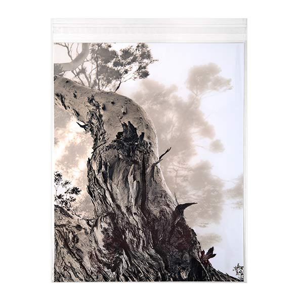 Klappenbeutel 22x28cm Hochtransparent (100 Stück) [B811S]