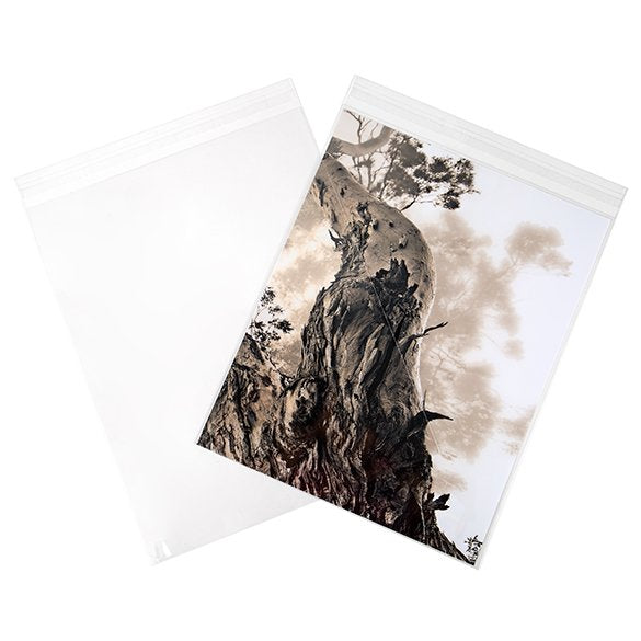 Klappenbeutel 22x28cm Hochtransparent (100 Stück) [B811S]
