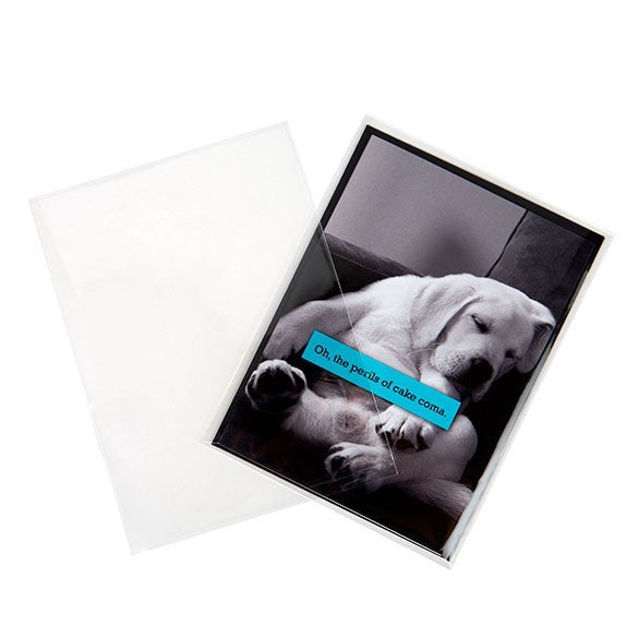 Plastikbeutel 12,6x17cm Transparent (250 Stück) [VL65NF]
