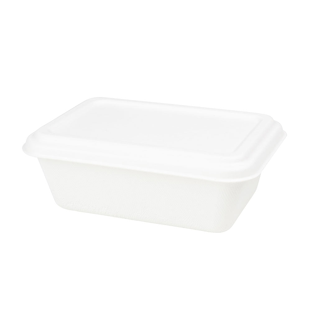 Schale Zuckerrohr 17x12x6 cm, 650 ml (500 Stück) [GB-DFC01226]