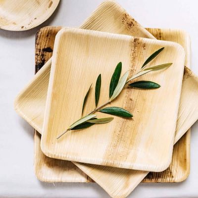 Quadratischer Teller Palmblatt 15x15cm (200 Stück) [GB-DTW05360]